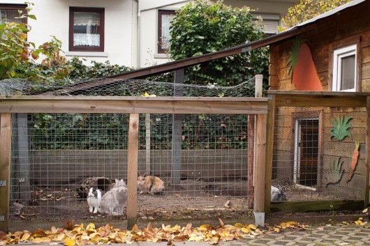 Kaninchen im Garten - Hier bekommen Sie einen Eindruck von unserer Einrichtung